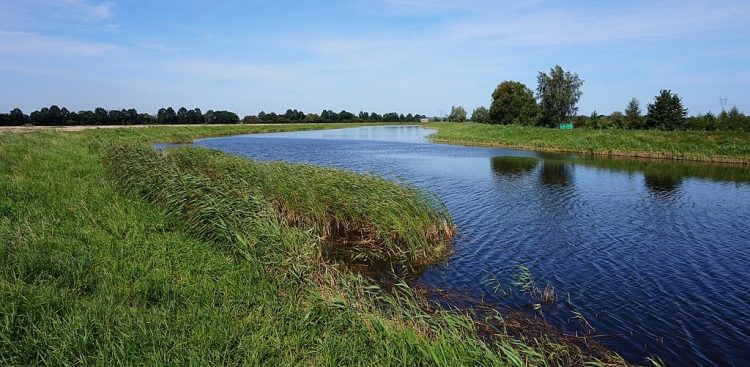 (Fot. Wikimedia Commons/Krzysztof Rakowski)