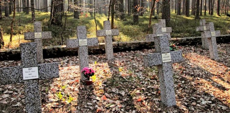Na zdjęciu: jeden z dwóch grobów, w których zachowały się zwłoki ofiar Zbrodni Piaśnickiej (Fot. Muzeum Piaśnickie)