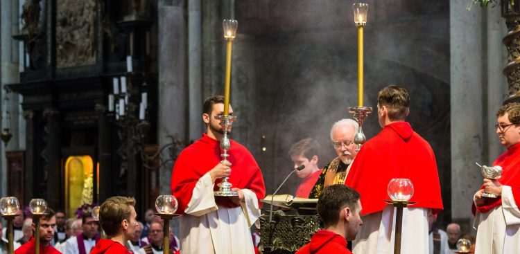 (Fot. Wikimedia Commons/Raimond Spekking)