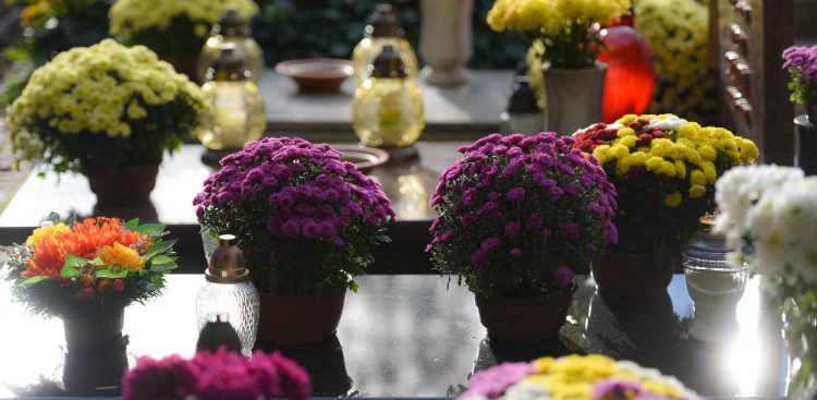 (Fot. Radio Gdańsk/Roman Jocher)