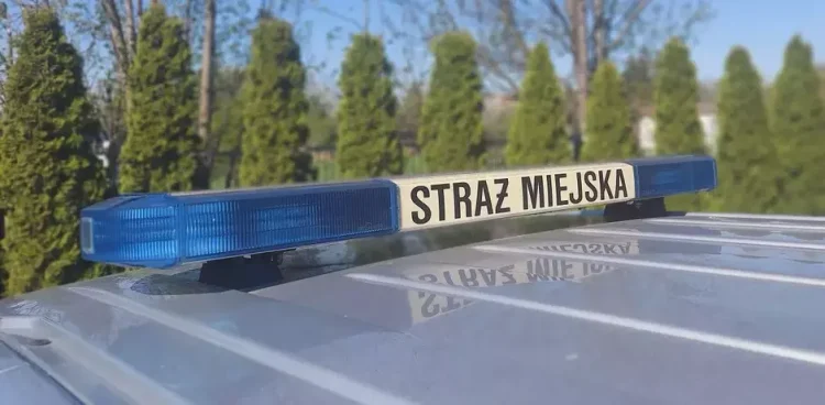 (Fot. Straż Miejska w Gdańsku)