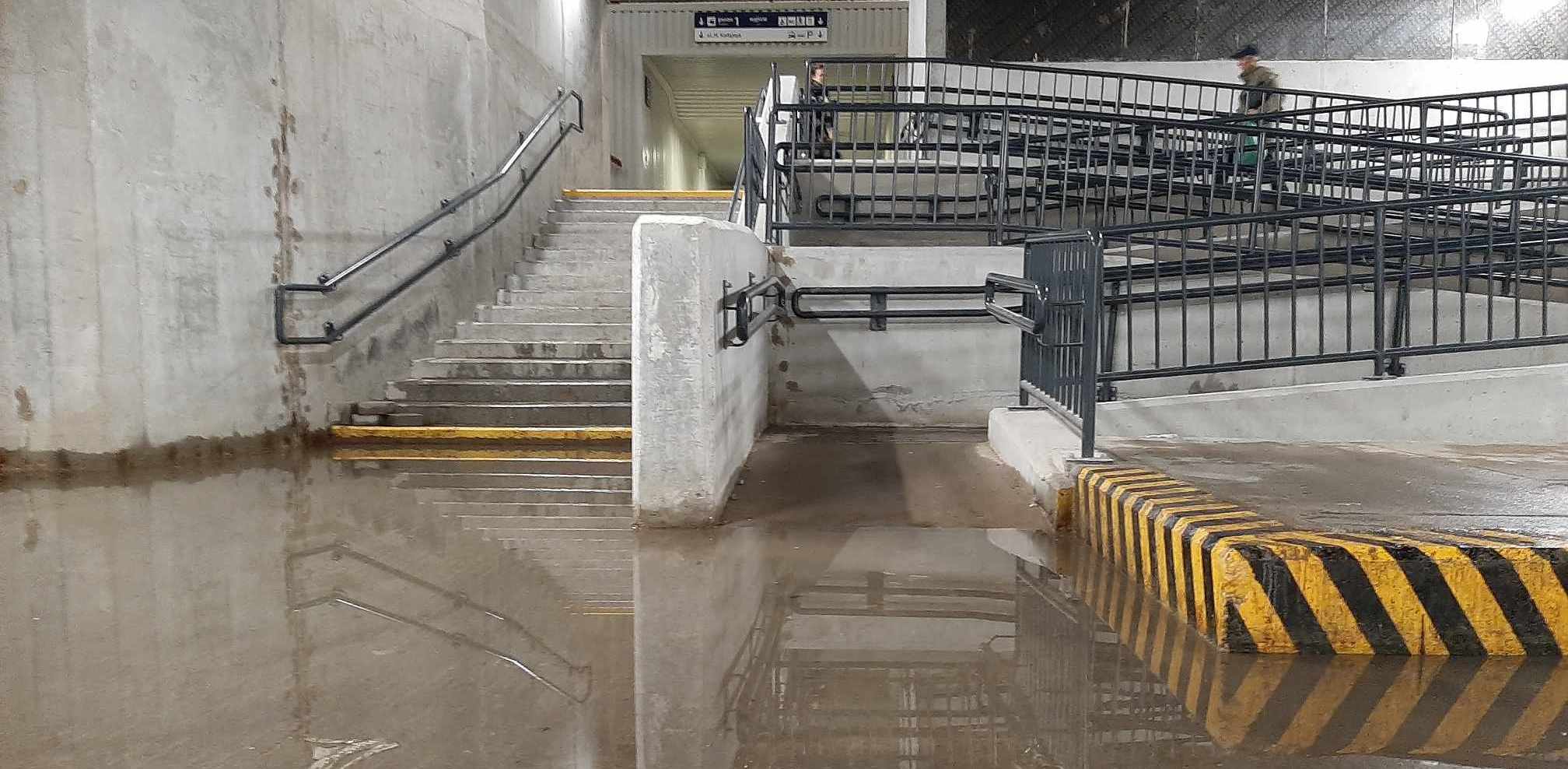 (fot. Radio Gdańsk/Przemek Woś)