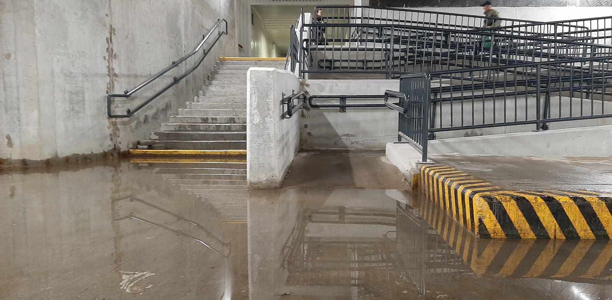 (fot. Radio Gdańsk/Przemysław Woś)