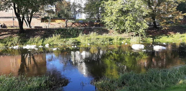 (fot. Radio Gdańsk/Przemek Woś)