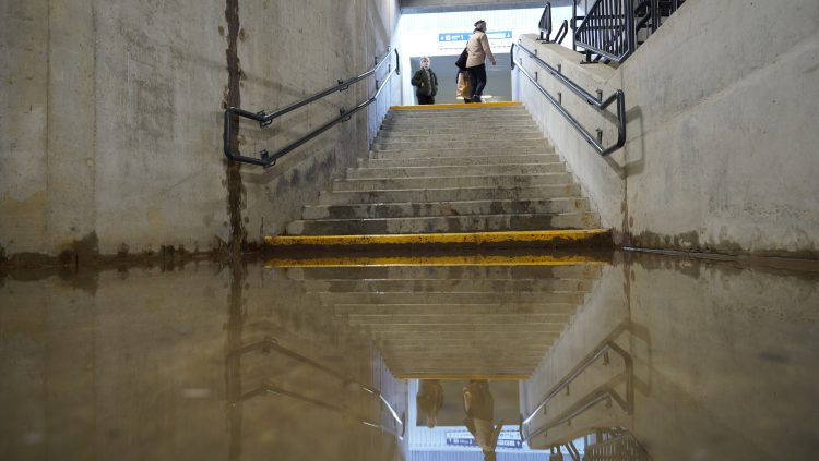 (fot. Radio Gdańsk/Alek Radomski)