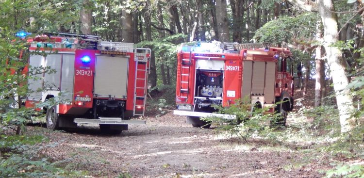 (fot. Mariusz Jasłowski)