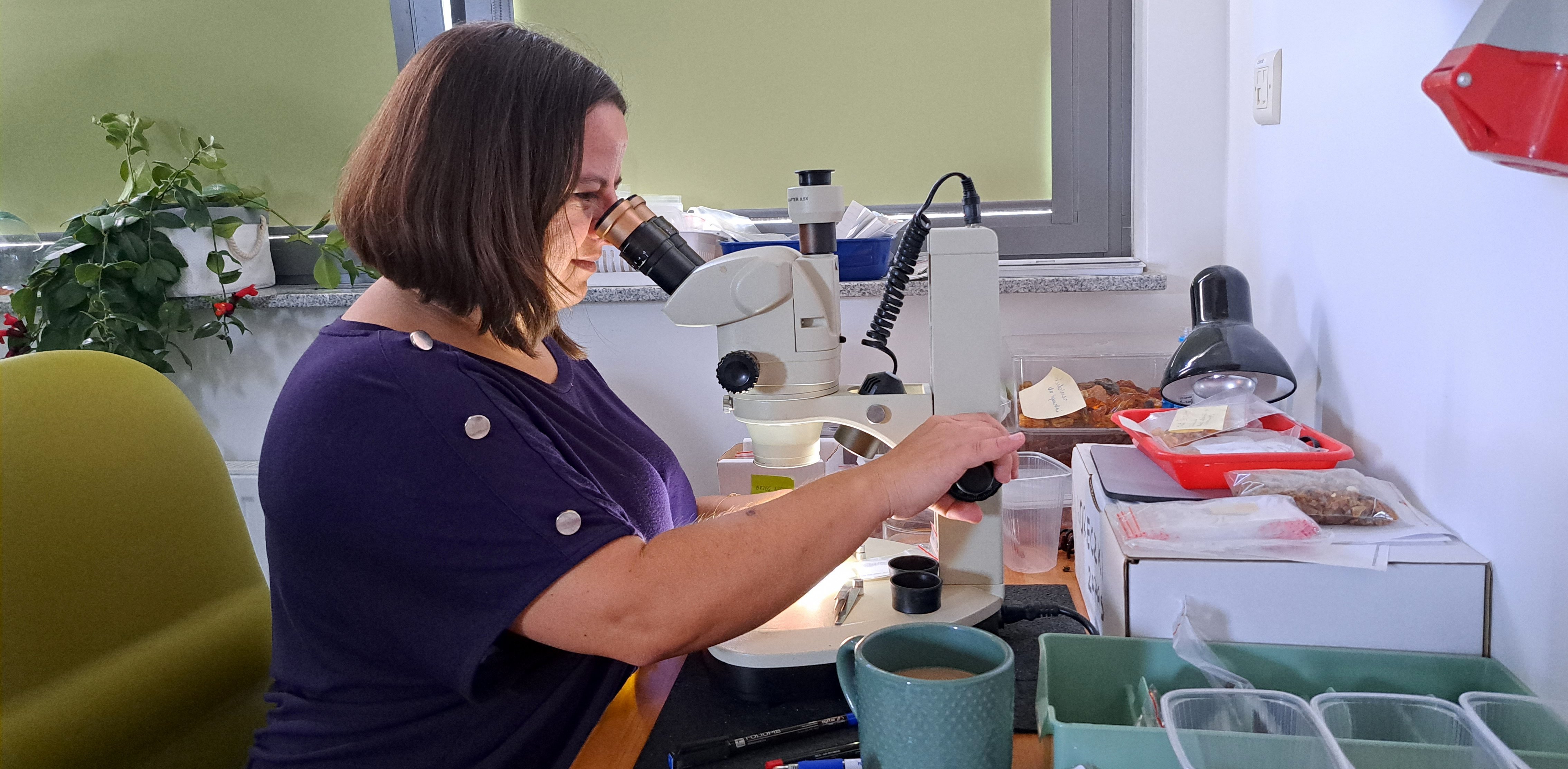 (Fot. Radio Gdańsk/Włodzimierz Raszkiewicz)