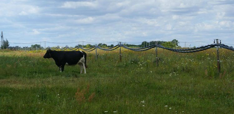 Zdjęcie ilustracyjne (fot. Wikimedia Commons/Anna Weronika Brzezińska)