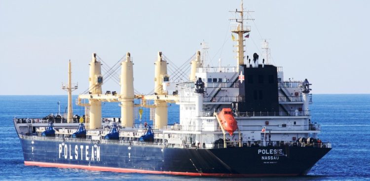 (fot. Wikimedia Commons/Seamanpl)