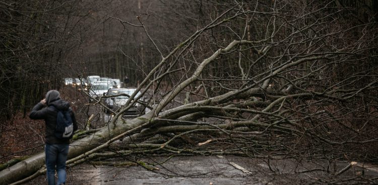 Zdjęcie ilustracyjne
(fot. Agencja KFP/Krzysztof Mystkowski)