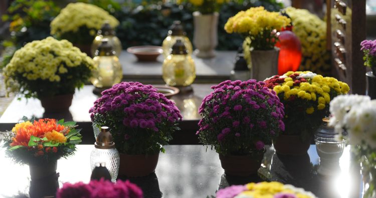 (fot. Radio Gdańsk/Roman Jocher)