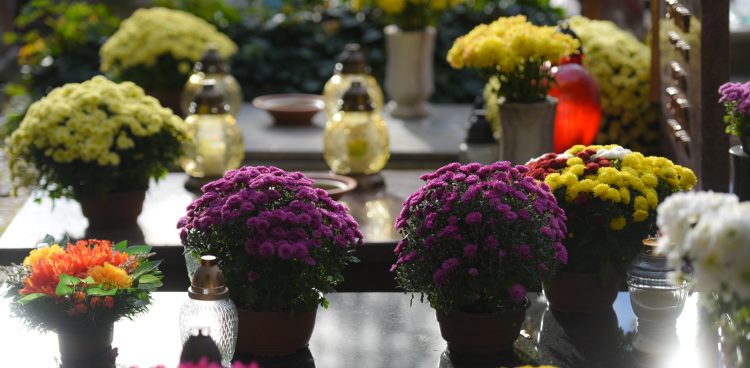 (Fot. Radio Gdańsk/Roman Jocher)