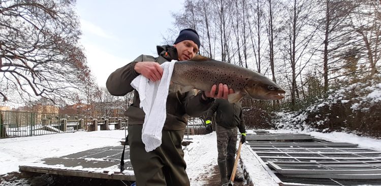 (fot. Radio Gdańsk/Alek Radomski)