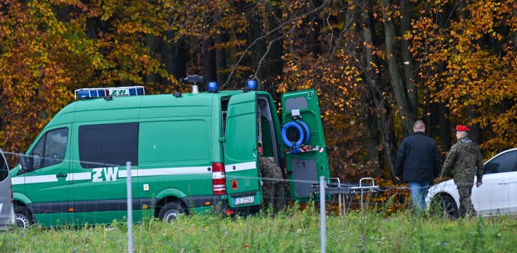 (Fot. PAP/Adam Warżawa)