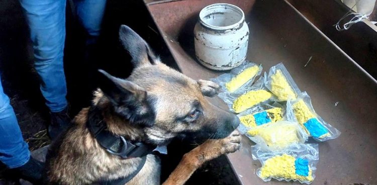 zdjęcie ilustracyjne (Fot. KPP Starogard Gdański)