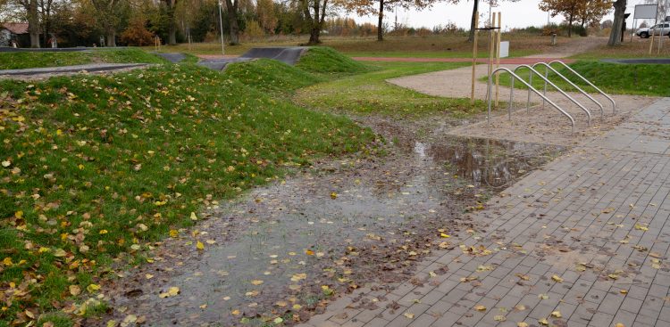 (fot. Radio Gdańsk/Alek Radomski)