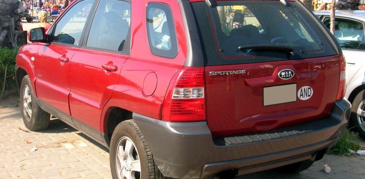 (Fot. Wikimedia Commons/Javier Mediavilla Ezquibela)