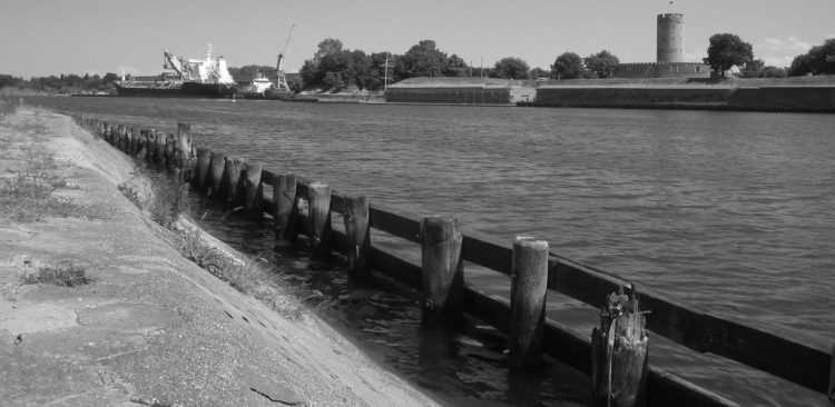 (Fot. Wikimedia Commons/M. Minderhoud)