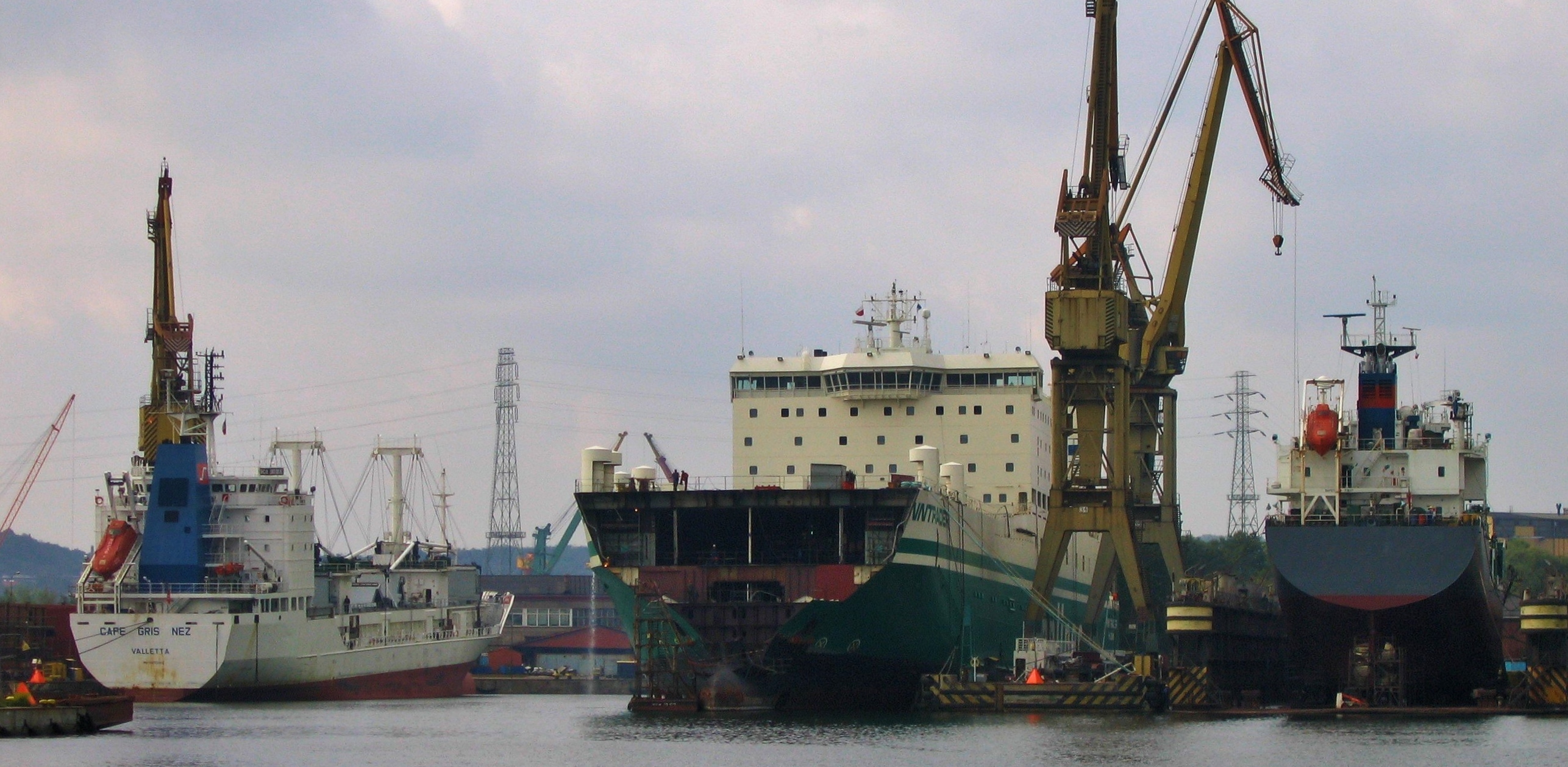 (Fot. Wikimedia Commons/qwesy)