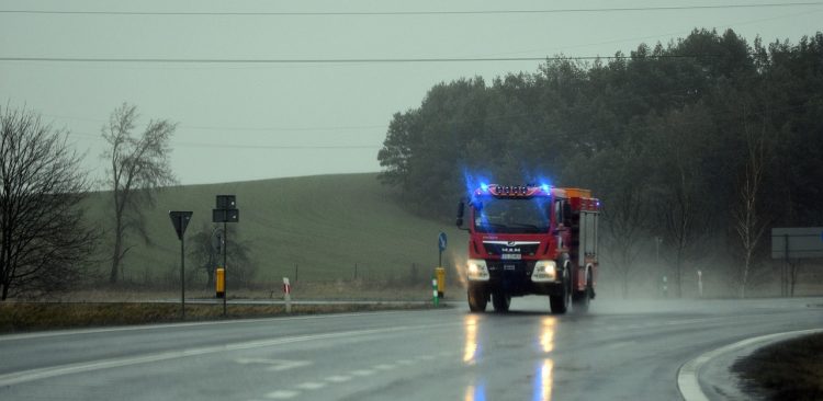 Zdjęcie ilustracyjne (Fot. Pixabay)