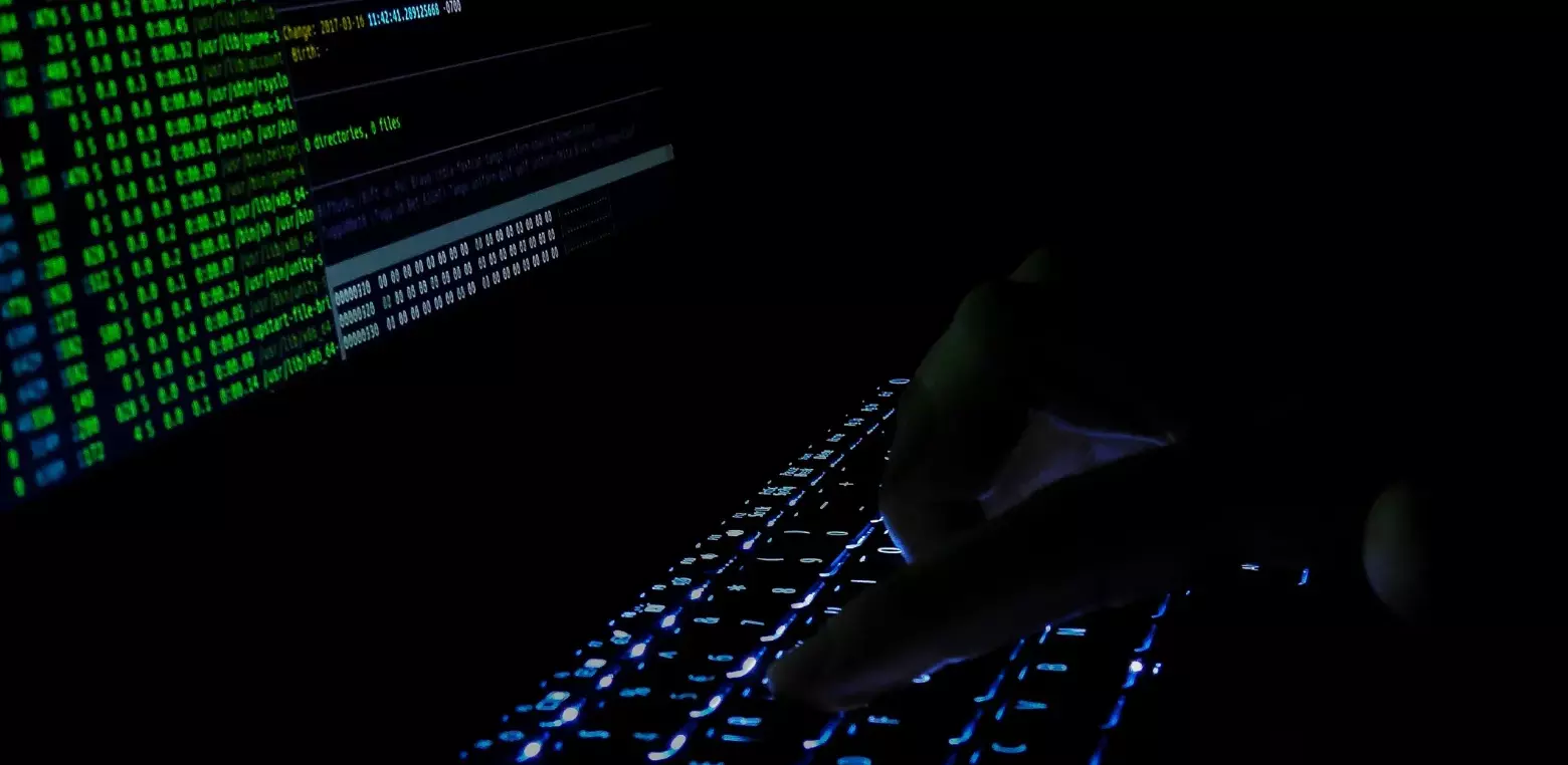 (Fot. PixaHave/Hardik Pandey)