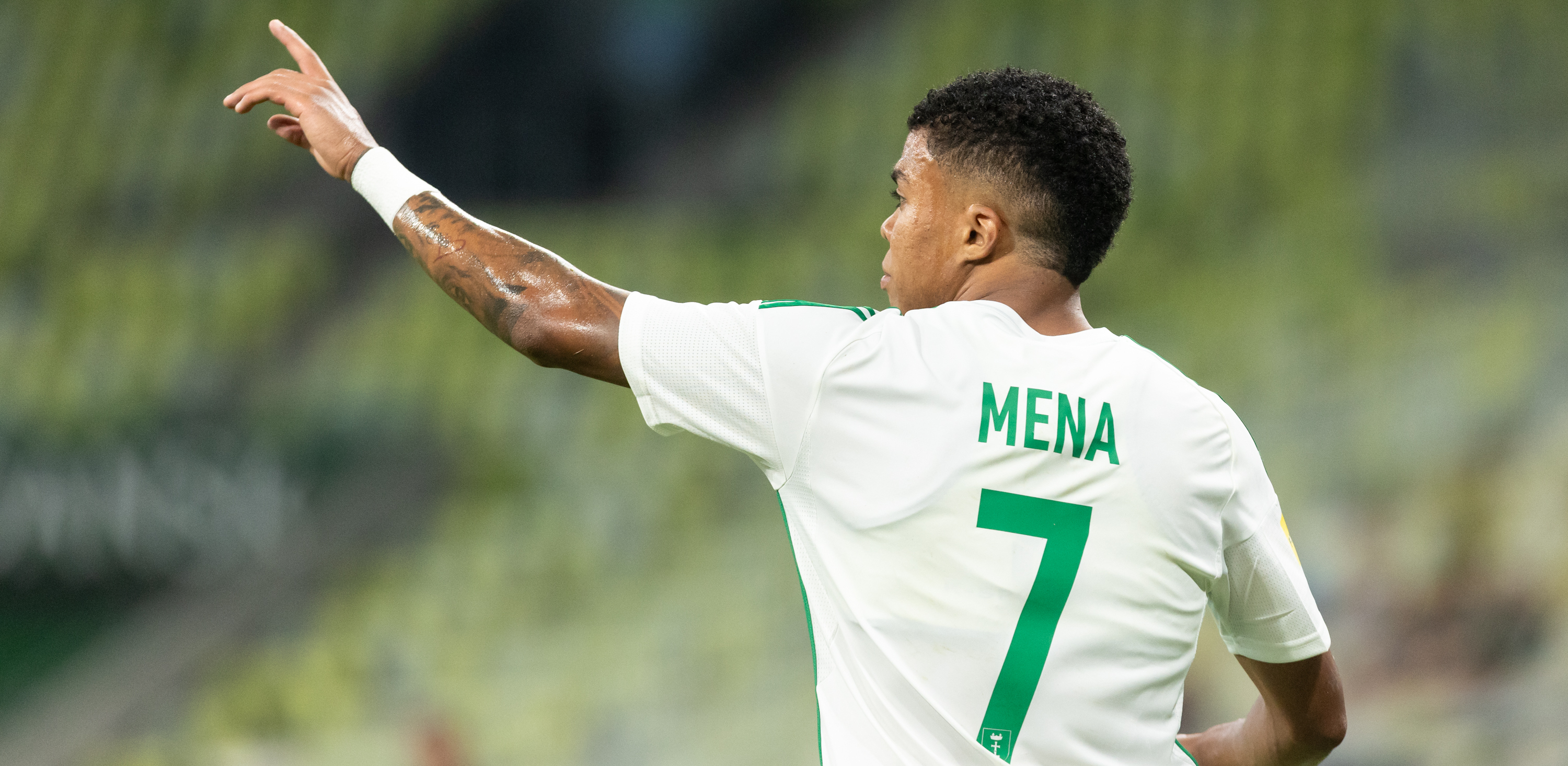 (Fot. Krzysztof Mystkowski/KFP)