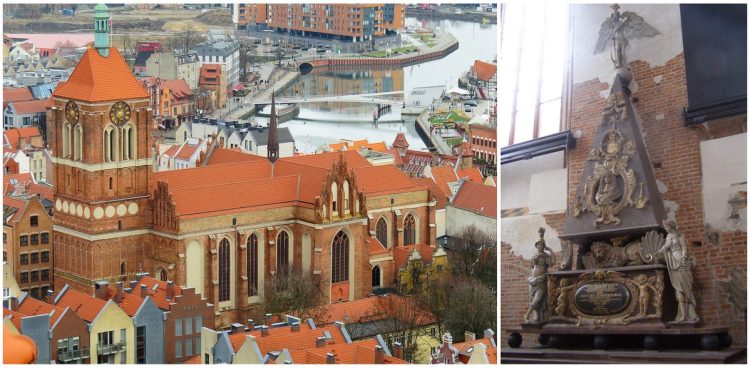 (fot. Wikimedia Commons, Flickr/magro_kr)