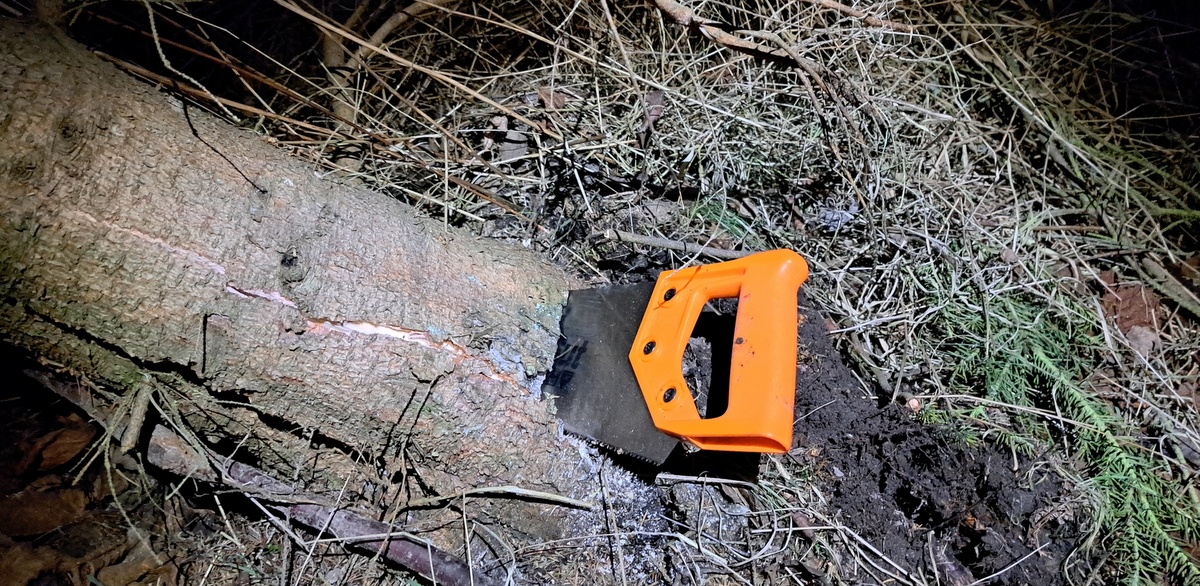 (fot. Radio Gdańsk/Sebastian Kwiatkowski)