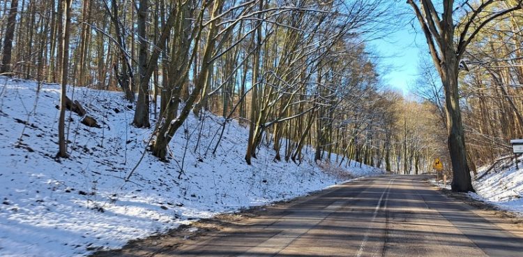 (Fot. Radio Gdańsk/Sebastian Kwiatkowski)