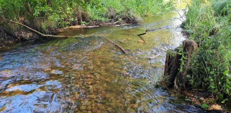 (fot. Park Krajobrazowy ,,Dolina Słupi")