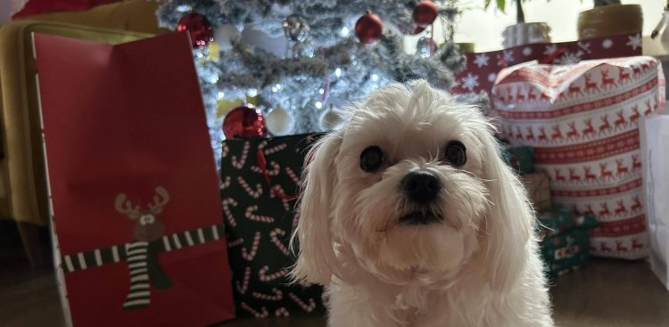 (Fot. Radio Gdańsk)