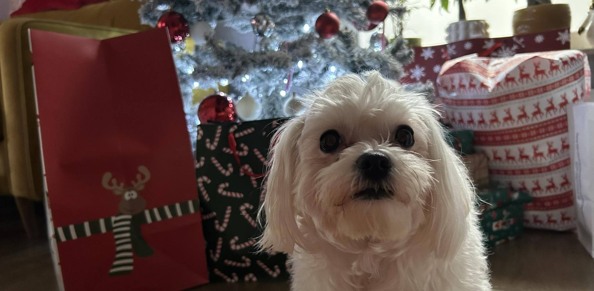 (Fot. Radio Gdańsk)