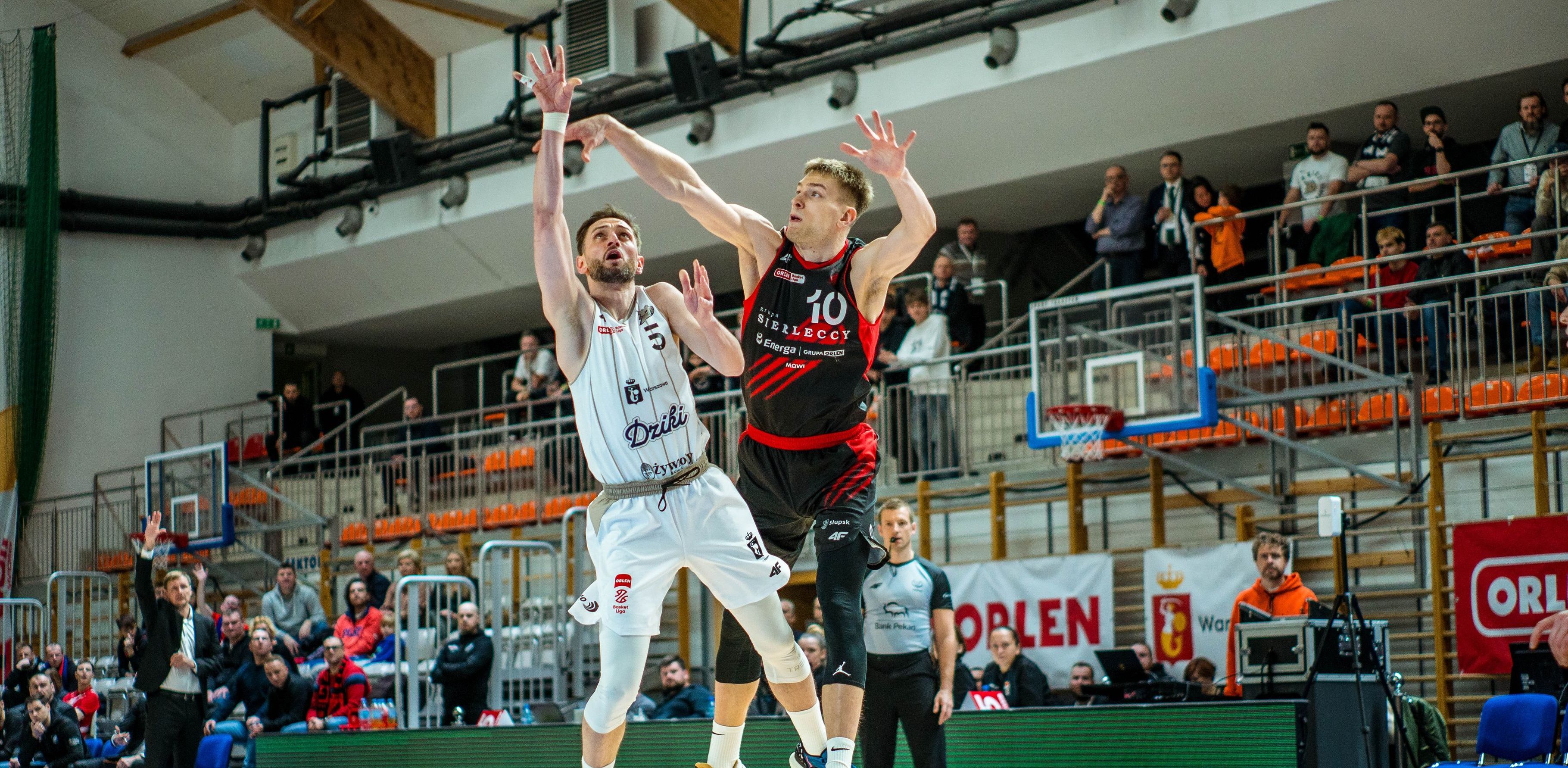 (Fot. P. Przyborowski)