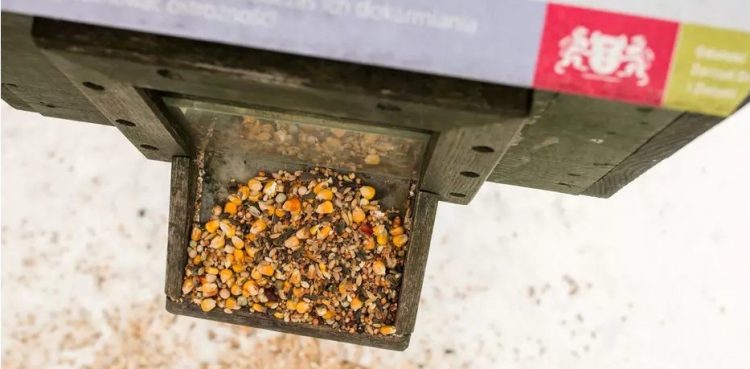 (Fot. Facebook/Gdański Zarząd Dróg i Zieleni)