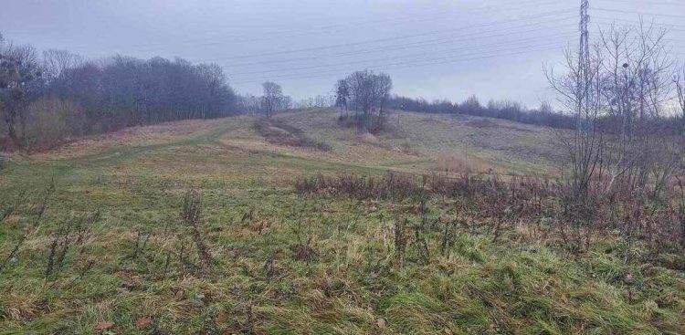 (Fot. UM w Elblągu)