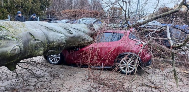 (Fot. Straż Pożarna Gdańsk)