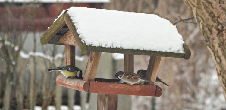 (fot. archiwum Radia Gdańsk)