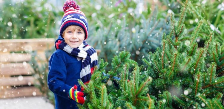 (Fot. Lasy Państwowe/Nadleśnictwo Lębork)