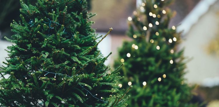 Zdjęcie ilustracyjne (fot. Pixabay.com)