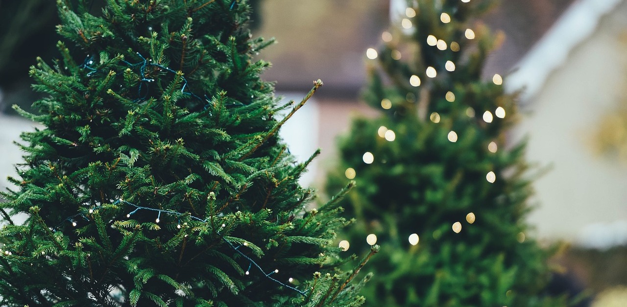 Zdjęcie ilustracyjne (fot. Pixabay.com)