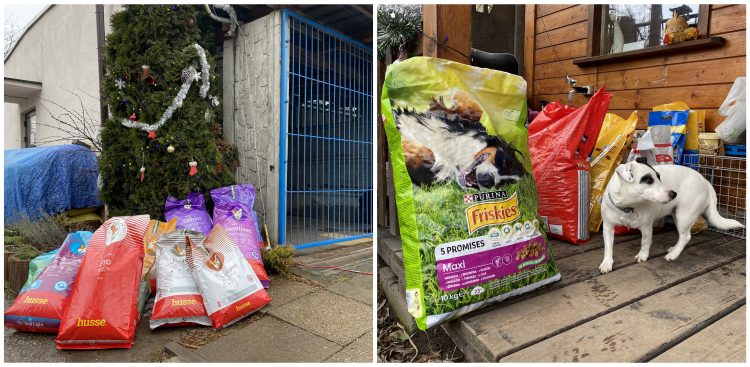 (fot. Radio Gdańsk/Filip Jędruch)