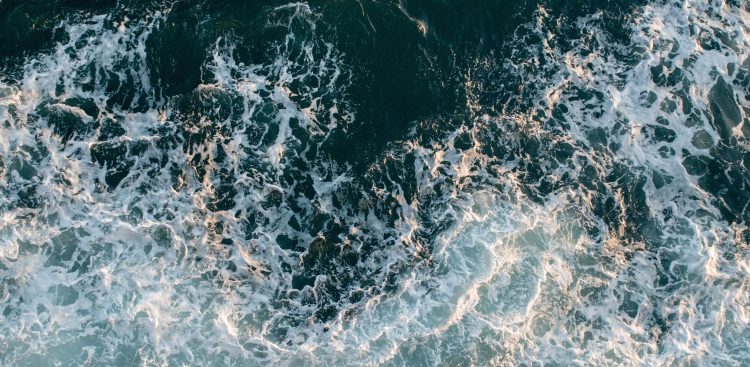 (Fot. Wikimedia Commons/Tomasz Baranowski)