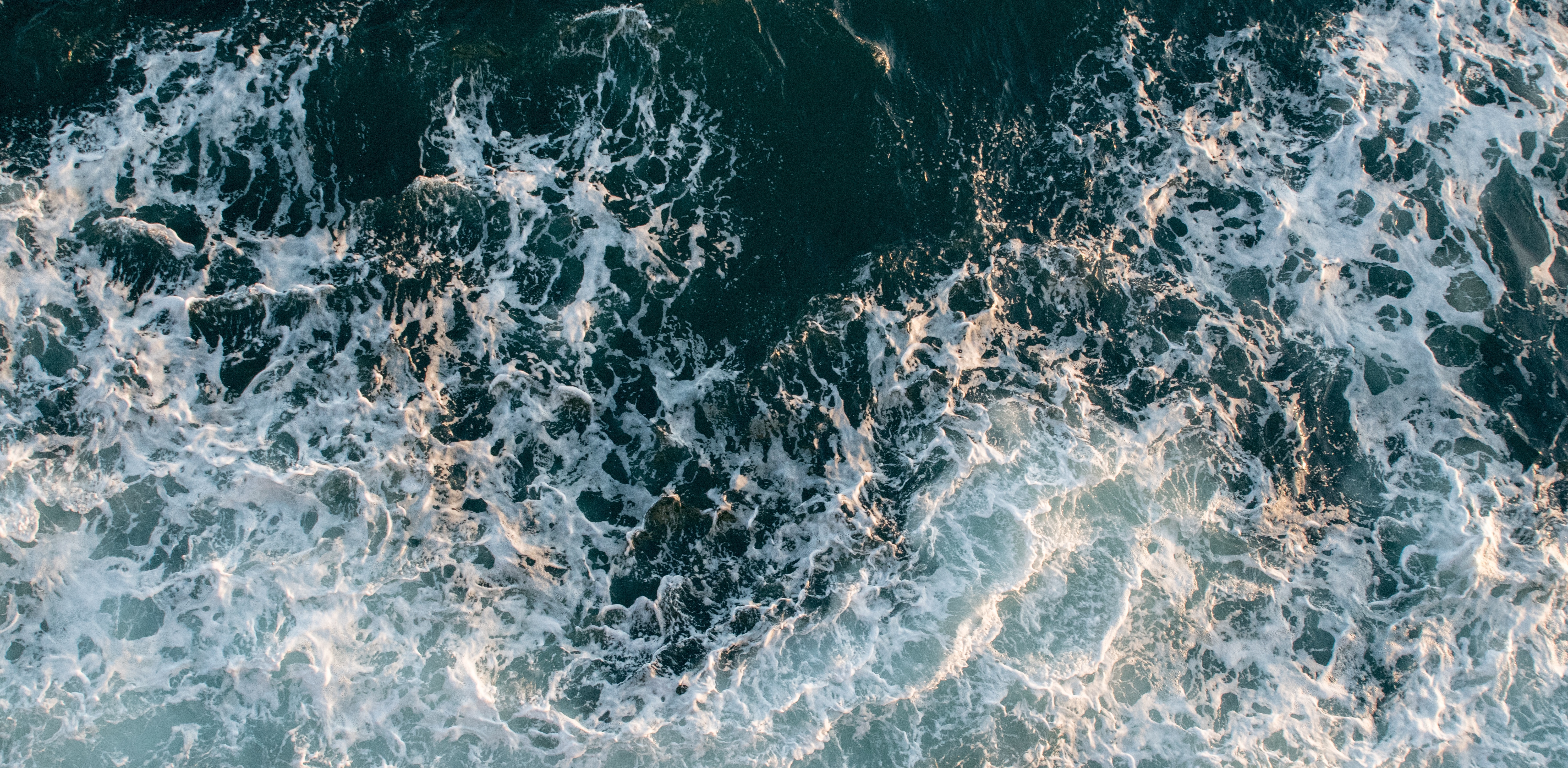 (Fot. Wikimedia Commons/Tomasz Baranowski)