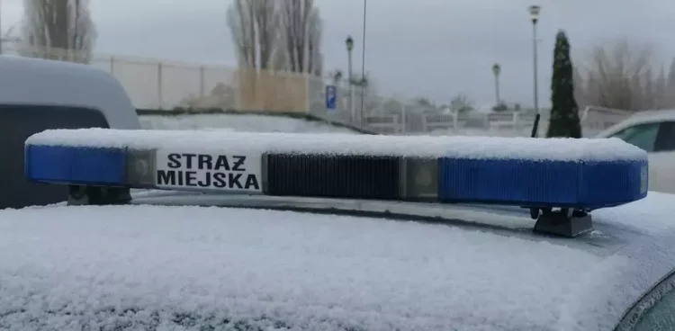 (Fot. Straż miejska w Gdańsku/www.strazmiejska.gda.pl)