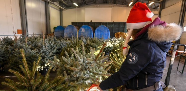 (Fot. mat.pras./Zakład Utylizacji)