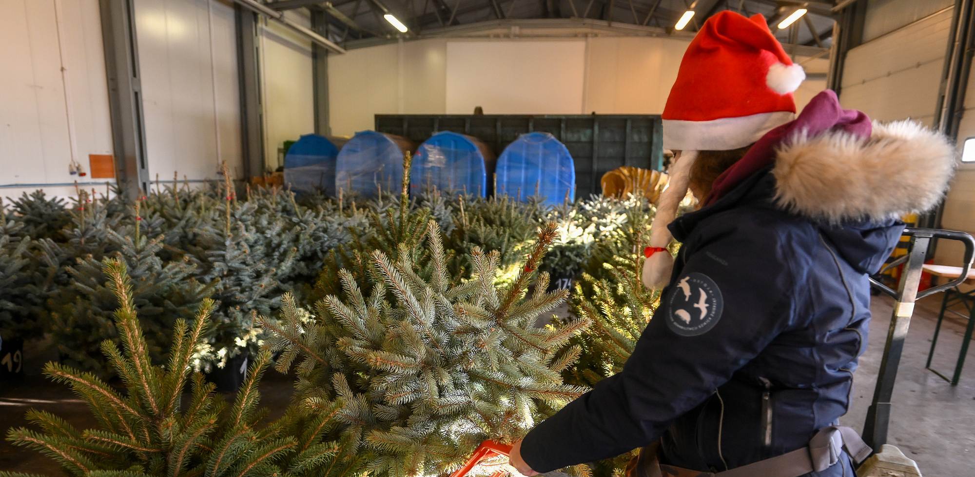 (Fot. mat.pras./Zakład Utylizacji)