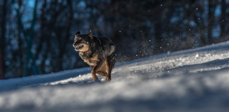 (fot. Krzysztof Mystkowski / KFP)