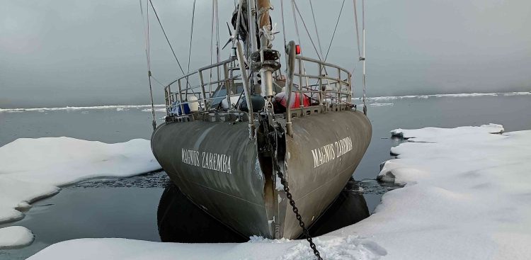 (fot. Magnus Zaremba)