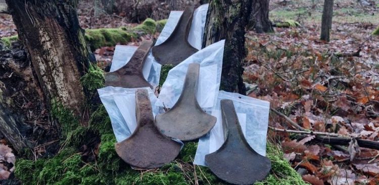 (Fot. FB/Nadleśnictwo Starogard)