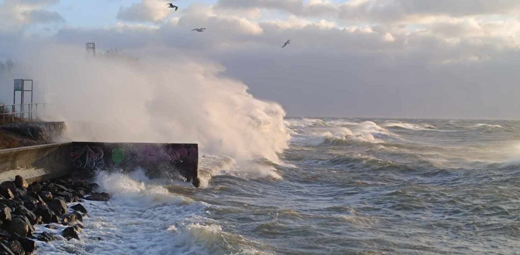 (Fot. Radio Gdańsk/Rafał Korbut)